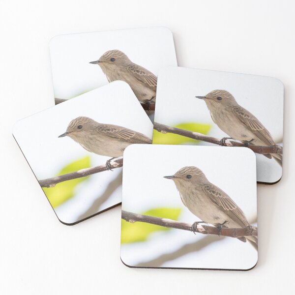 Item preview, Spotted Flycatcher designed and sold by LaurenTucker.