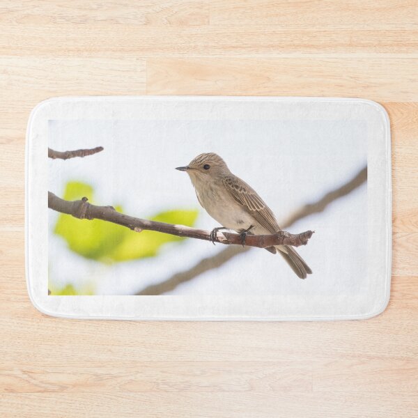 Item preview, Spotted Flycatcher designed and sold by LaurenTucker.