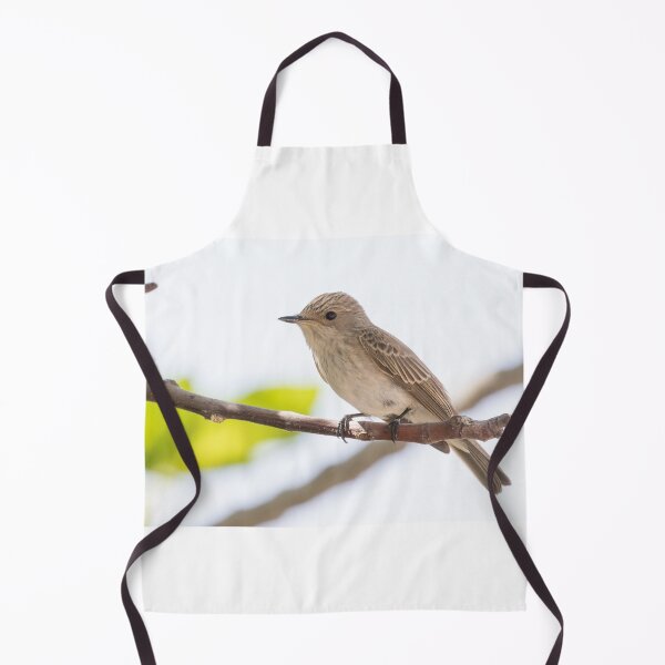 Item preview, Spotted Flycatcher designed and sold by LaurenTucker.