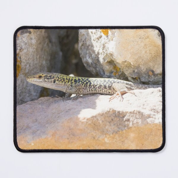 Item preview, Lilford's Wall Lizard  designed and sold by LaurenTucker.