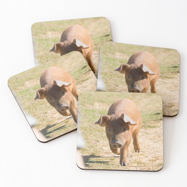 Item preview, Duroc Pig designed and sold by LaurenTucker.