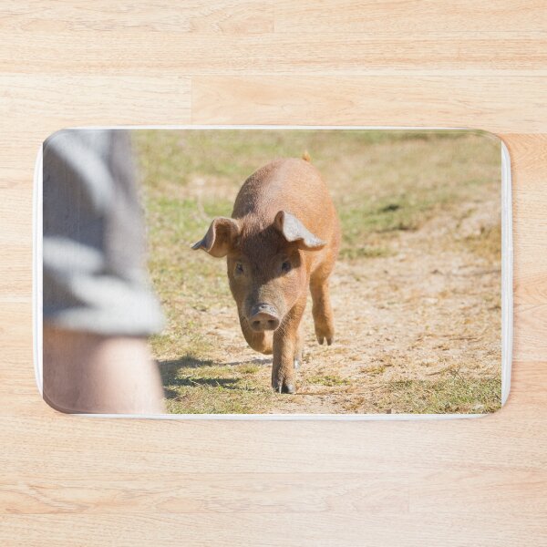 Item preview, Duroc Pig designed and sold by LaurenTucker.