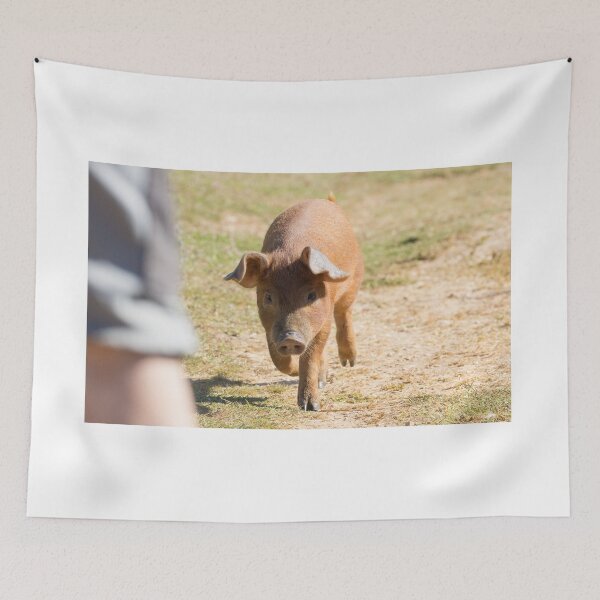 Item preview, Duroc Pig designed and sold by LaurenTucker.