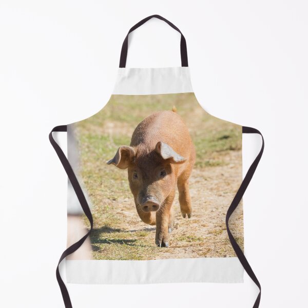Item preview, Duroc Pig designed and sold by LaurenTucker.