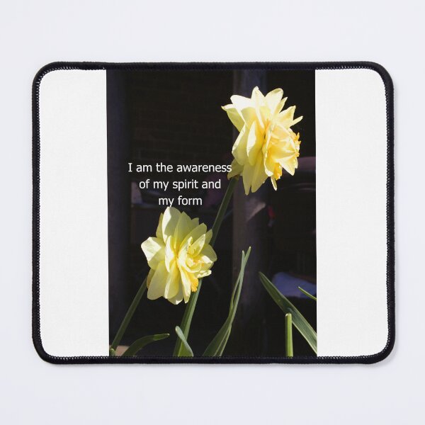 Item preview, Two daffodils photograph with inspirational message designed and sold by Natimo-Studio.