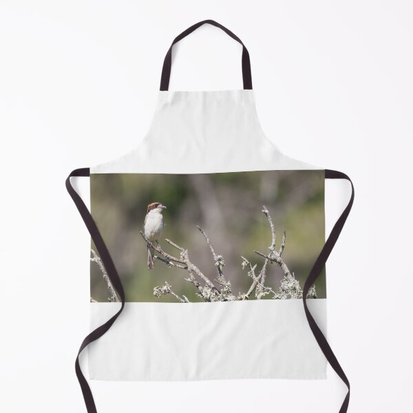 Item preview, Woodchat Shrike designed and sold by LaurenTucker.