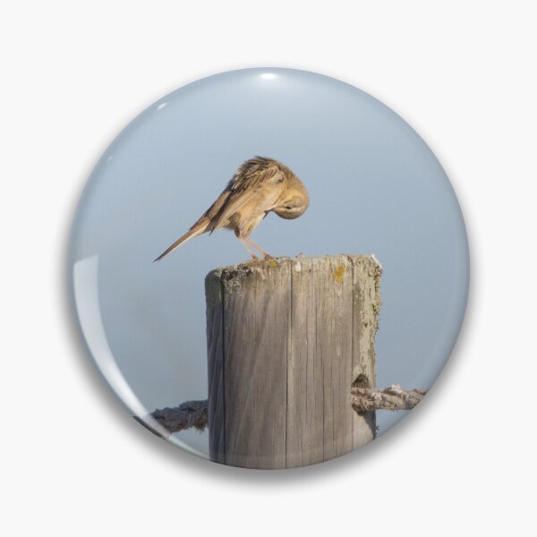 Item preview, Tawny Pipit designed and sold by LaurenTucker.