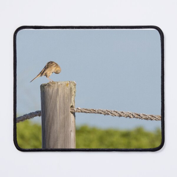 Item preview, Tawny Pipit designed and sold by LaurenTucker.