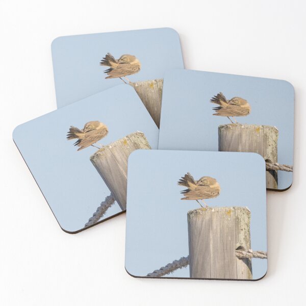 Item preview, Tawny Pipit designed and sold by LaurenTucker.