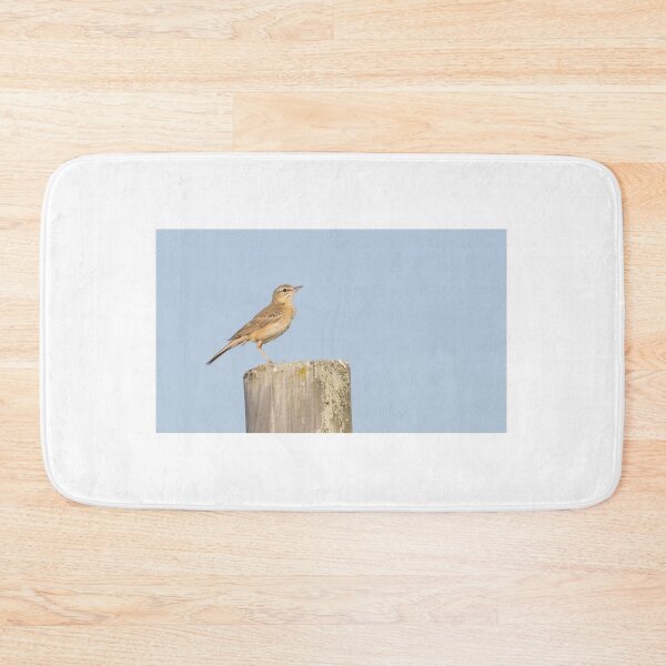 Item preview, Tawny Pipit designed and sold by LaurenTucker.