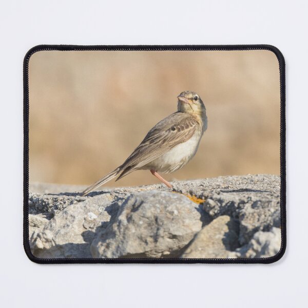 Item preview, Tawny Pipit designed and sold by LaurenTucker.