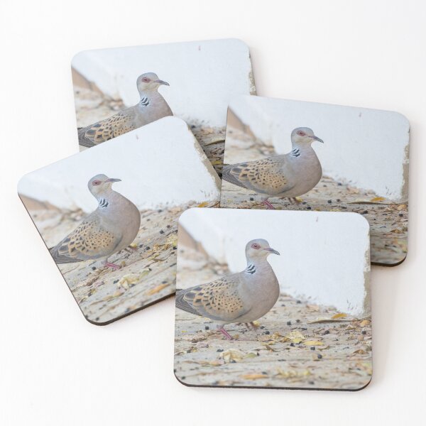 Item preview, European Turtle Dove designed and sold by LaurenTucker.