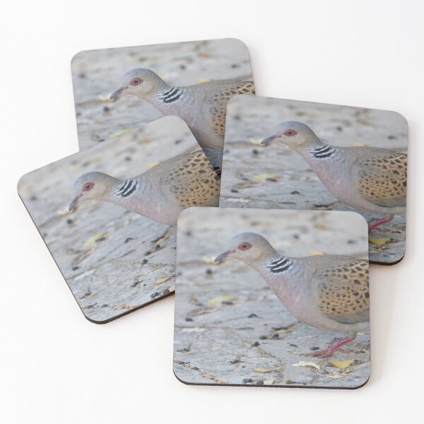 Item preview, European Turtle Dove designed and sold by LaurenTucker.