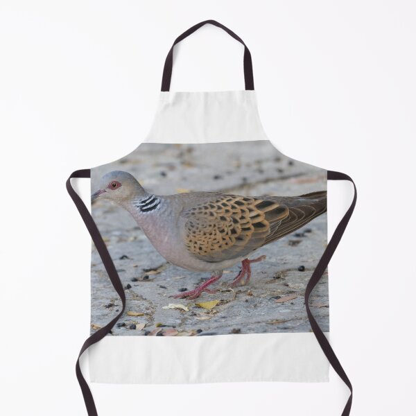 Item preview, European Turtle Dove designed and sold by LaurenTucker.