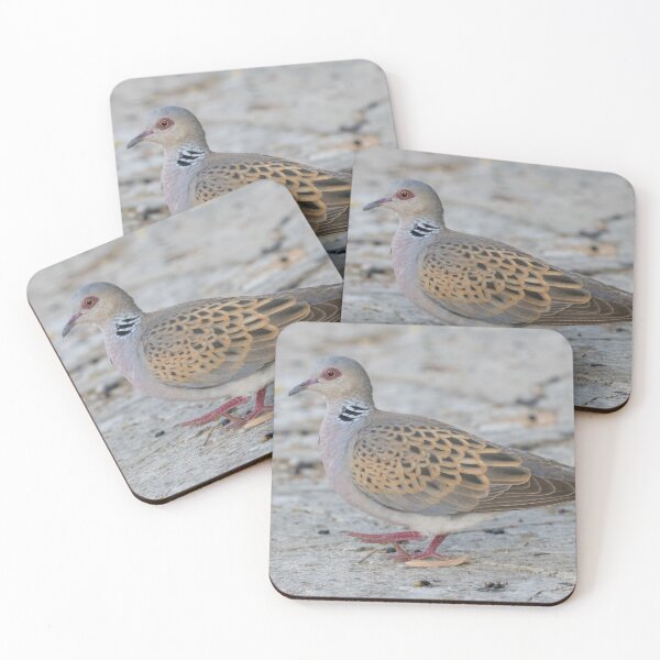 Item preview, European Turtle Dove designed and sold by LaurenTucker.