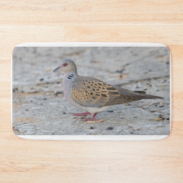 Item preview, European Turtle Dove designed and sold by LaurenTucker.