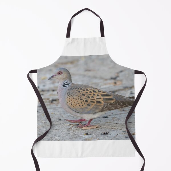 Item preview, European Turtle Dove designed and sold by LaurenTucker.