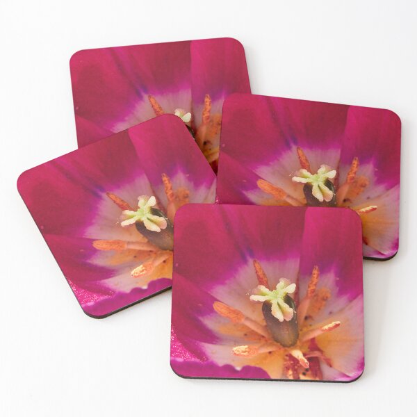Item preview, Up Close and Tulip designed and sold by Eidetic Photos.