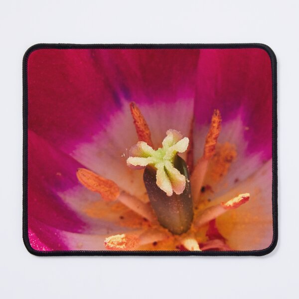 Item preview, Up Close and Tulip designed and sold by Eidetic Photos.