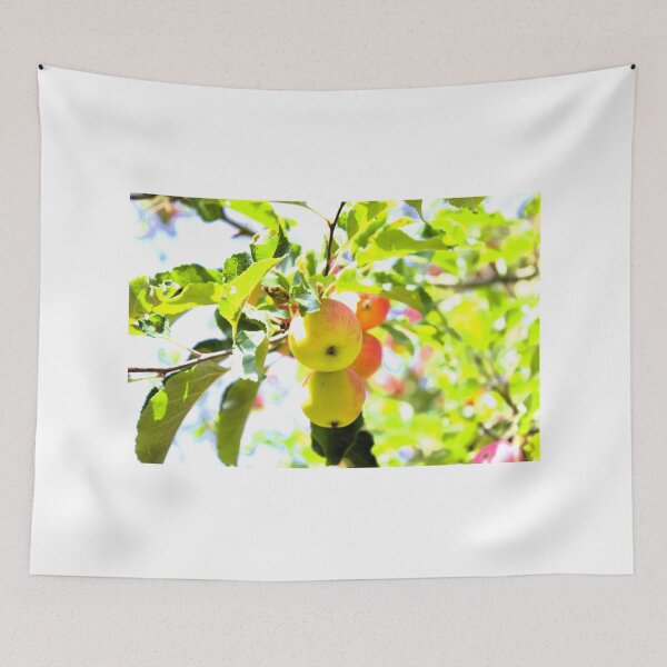 Item preview, Apple tree photograph designed and sold by Natimo-Studio.