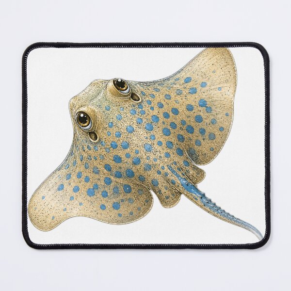 Item preview, Cute Vintage Blue Spotted Stingray Sticker - Tropical Ray designed and sold by PND7777.