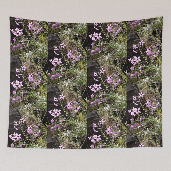 Item preview, Stars Come Out - Australian pink flower designed and sold by Lunaqwa.