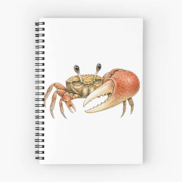 Item preview, Cute Vintage Fiddler Crab Sticker - Big Claw Coastal Crab designed and sold by PND7777.