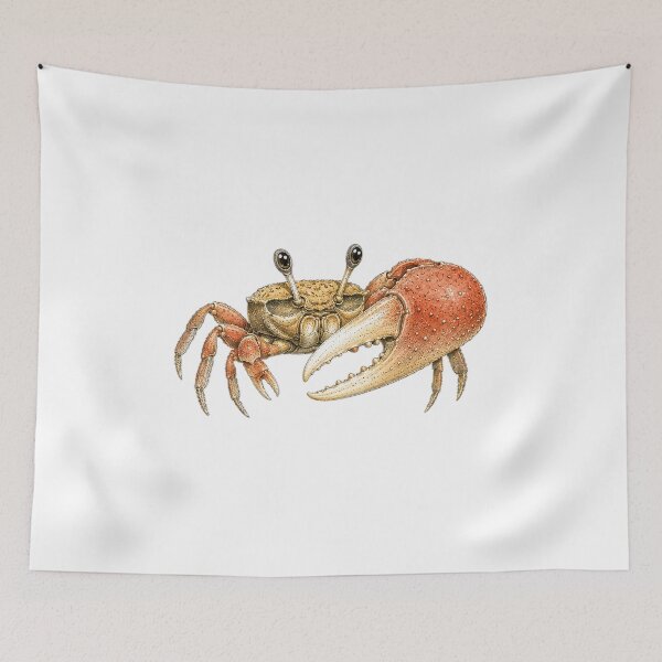 Item preview, Cute Vintage Fiddler Crab Sticker - Big Claw Coastal Crab designed and sold by PND7777.