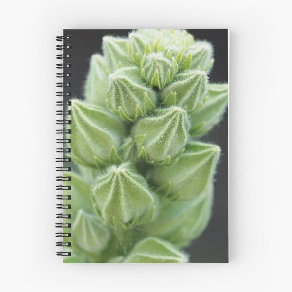 Item preview, Soft little green monsters flower buds macro designed and sold by TanalyFlowers.