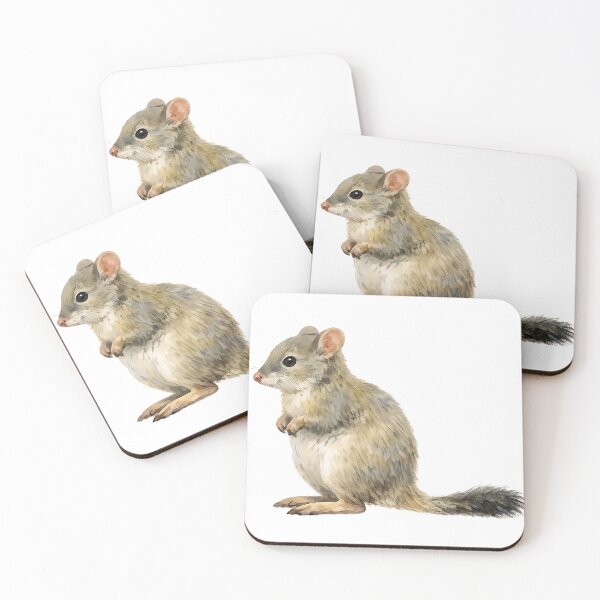 Item preview, Woylie Brush-tailed Bettong Watercolour designed and sold by Jaruart.