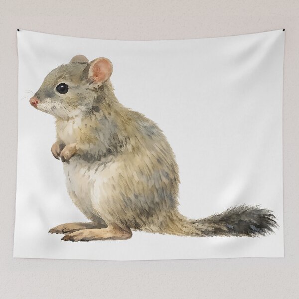Item preview, Woylie Brush-tailed Bettong Watercolour designed and sold by Jaruart.