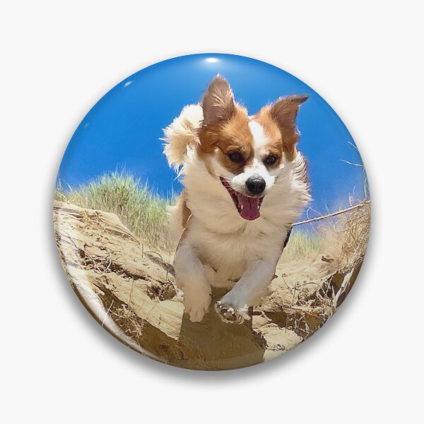Item preview, Zigyy the Wonder Dog designed and sold by The Rainbow Rebel Collective.