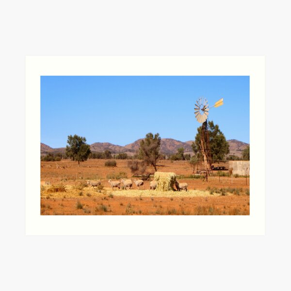 Sheep and windmill, Australia Art Print