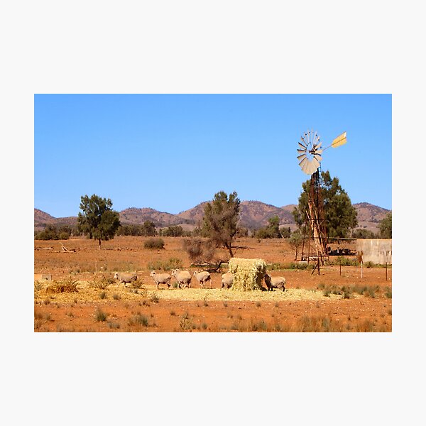 Item preview, Sheep and windmill, Australia designed and sold by FranWest.