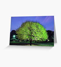 Fluoro Tree Greeting Card