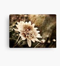 Flower Grunge Canvas Print