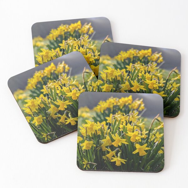 Item preview, Springtime Daffodils designed and sold by Alan Rodmell.