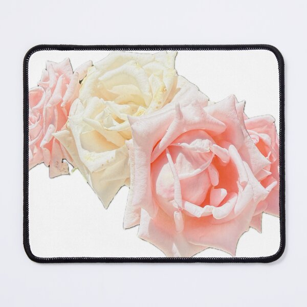 Item preview, Isolated Pink and Cream Roses Flower Graphic designed and sold by BalkanBloom.