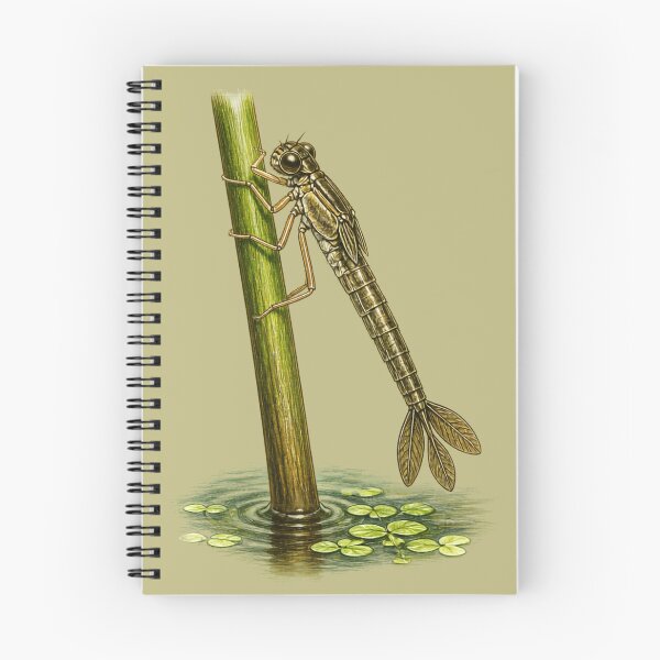 Item preview, Damselfly Nymph on Reed | Naturalist Study designed and sold by BloomStudio1.