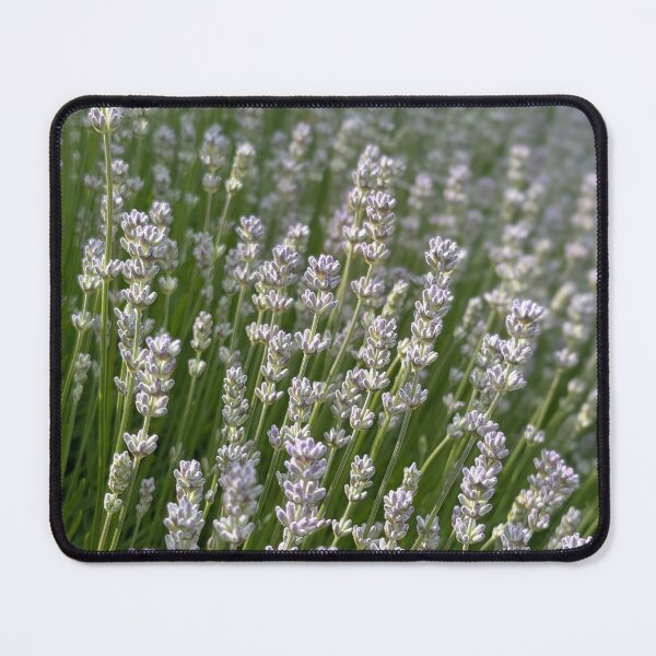Item preview, Floral Perspective designed and sold by Alan Rodmell.