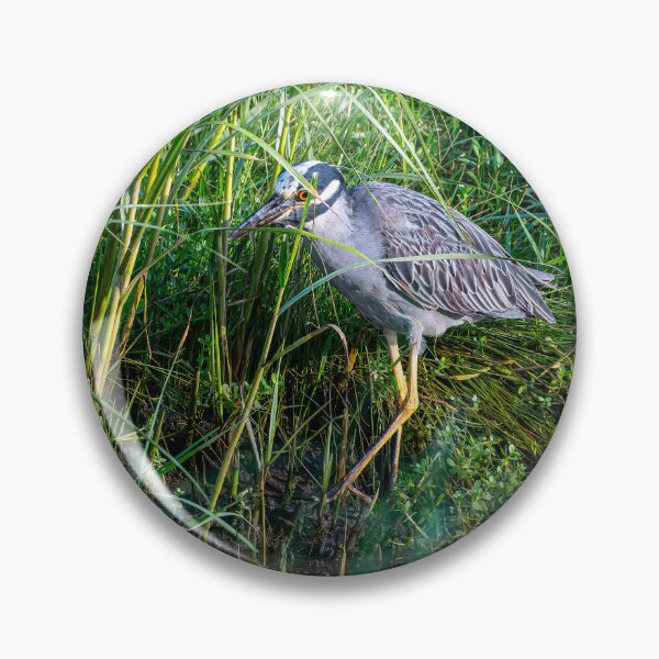 Item preview, Hunting Yellow-Crowned Night Heron designed and sold by Pondside-Pics.