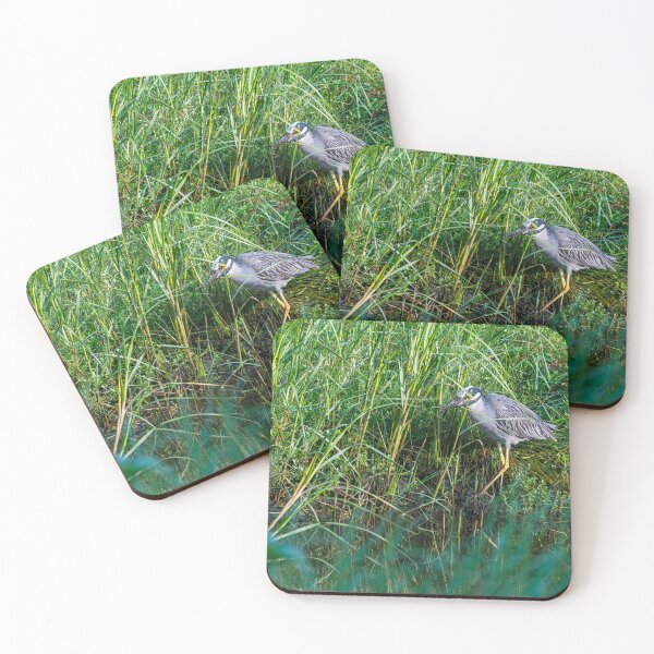 Item preview, Hunting Yellow-Crowned Night Heron designed and sold by Pondside-Pics.