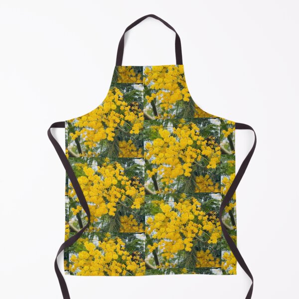 Item preview, Golden Mimosa Acacia Tree in Full Spring Bloom designed and sold by BalkanBloom.