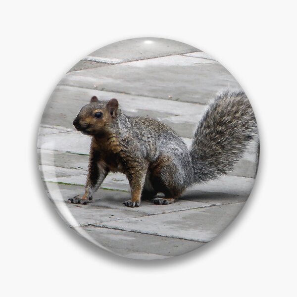 Item preview, Happy Squirrel designed and sold by heatherfriedman.