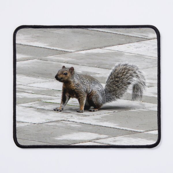 Item preview, Happy Squirrel designed and sold by heatherfriedman.