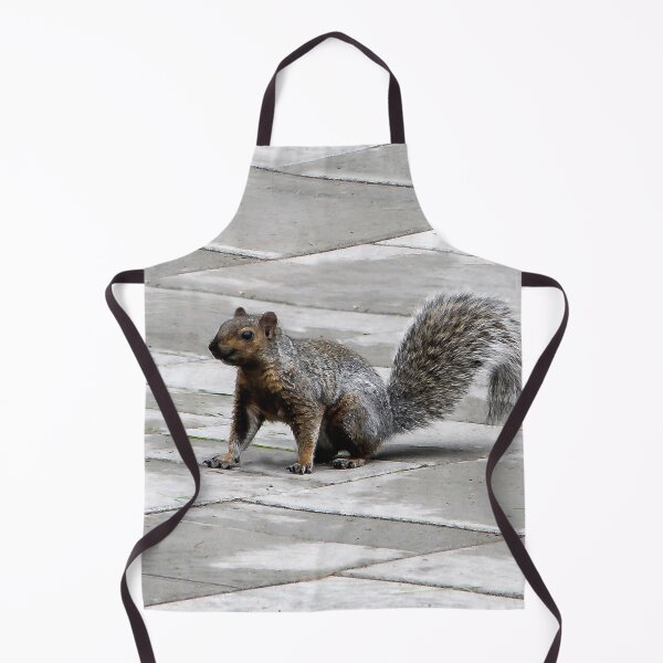 Item preview, Happy Squirrel designed and sold by heatherfriedman.