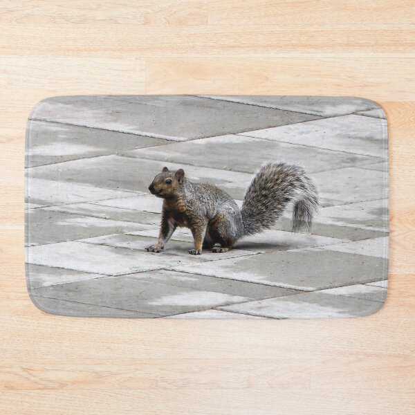 Item preview, Happy Squirrel designed and sold by heatherfriedman.