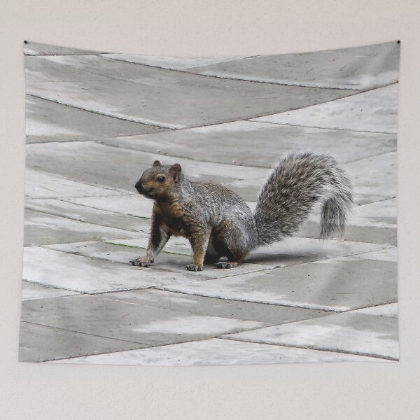Item preview, Happy Squirrel designed and sold by heatherfriedman.