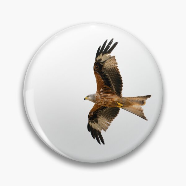 Item preview, Red Kite in flight designed and sold by inspireyoureyes.