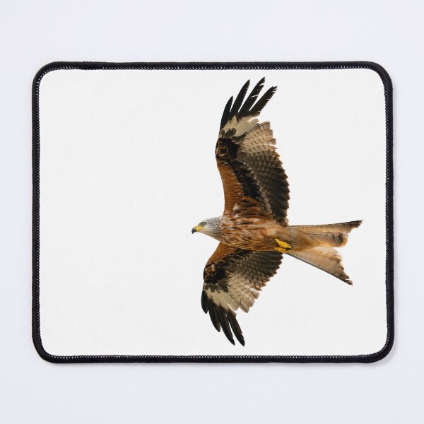 Item preview, Red Kite in flight designed and sold by inspireyoureyes.